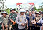 Kapolda-NTT-Pimpin-Panen-Raya-Jagung-Serentak,-Dorong-NTT-Jadi-Lumbung-Pangan-Nasional--Kepala-Kepolisian-Daerah-Nusa