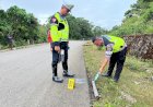Rem-Blong-Akibat-'Cross-Joint'-Patah,-Dump-Truck-di-Amfoang-Selatan-Tabrak-Tembok-dan-Masuk-Jurang,-Dua-Anak-Meninggal-Dunia