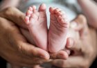 Warga-Nonbes-Geger,-Bayi-Perempuan-Ditemukan-Hidup-dalam-Kardus-di-Hutan-Mnera-Kabnono