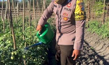 Bhabinkamtibmas,dukung-progam-ketahanan-pangan,masuk-sawah-berikan-motivasi-kepada-para-petani