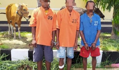 Lagi-Lagi--Jaringan-Curnak-di-Kabupaten-Kupang-Beraksi,-Pelaku--di-Dor--Tim-Buser-Polres-Kupang