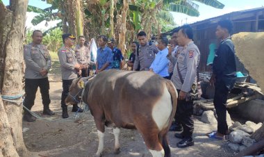 Gelar-Qurban-Presisi-Kapolres-Kupang-Serahkan-Hewan-Kurban-ke-Mushola-Al-Hijrah