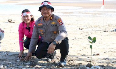 Polri-Gelar-Penghijauan-Serentak,-Kapolres-Kupang-Pimpin-Anggota-Tanam-1000-Mangrove-dan-Lepas-Ratusan--Anak-Penyu