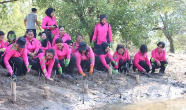 Peduli-Lingkungan,-PD-Bhayangkari-Daerah-NTT-Tanam-Mangrove-dan-Lepas-Tukik-di-Pantai-Sulamanda