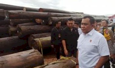 Bareskrim-Polri-Ungkap-Praktik-Ilegal-Logging-di-Kalteng