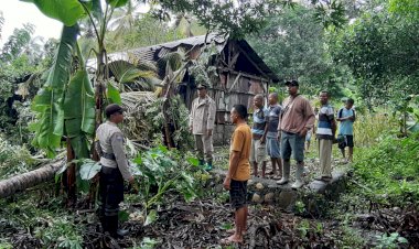 Tragis-!-Gadis-5-Tahun-di-Amfoang-Barat-Laut-Kabupaten-Kupang,-Tewas-Usai-Tertimpa-Pohon-Kelapa-Saat-Sedang-Tidur