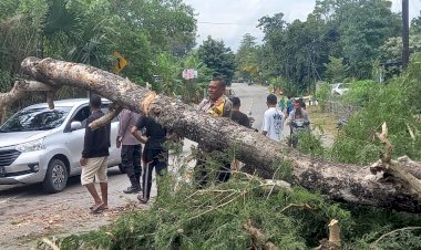 Gerak-Cepat-Polsek-Takari-Atasi-Pohon-Tumbang-di-Jalan-Timor-Raya-km-66-Takari