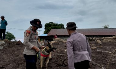 Polri-Kerahkan-102-Personel-dan-Satu-Anjing-K9-Cari-Korban-Longsor-di-Kelurahan-Rua,-Ternate