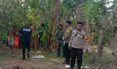 Tim-Gabungan-Polsek-Fatuleu-dan-Satreskrim-Polres-Kupang,-Berhasil-Meringkus-DN-Yang-Habisi-Nyawa-Lazarus-Bell