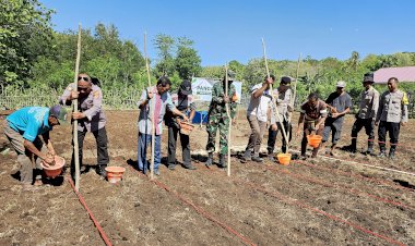 Kapolsek-Kupang-Tengah-Gagas-Pangan-Lestari,-Manfaatkan-Lahan-Tidur-di-Desa-Oelpuah