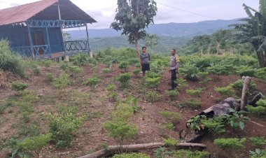 Bhabinkamtibmas-Desa-Toobaun-Aipda-Aprianus-M.-Passu-Ajak-Masyarakat-Manfaatkan-Lahan-Tidur-Jadi-Produktif-dan-Pekarangan-Jadi-Lahan-Bergizi