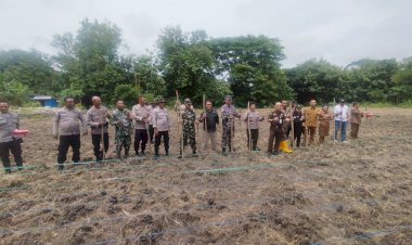 Hari-ini,-Polres-Kupang-Laksanakan-Penanaman-Jagung-Serentak-1-Juta-Hektar