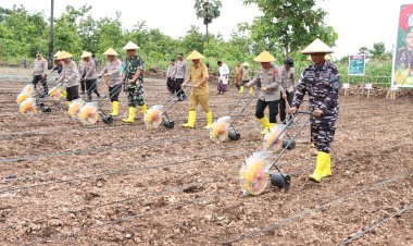 NTT-Lampaui-Target!-260-Ribu-Hektar-Lahan-Siap-Ditanami-Jagung-untuk-Dukung-Swasembada-Pangan-Nasional