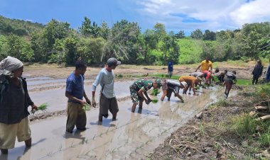 Bhabinkamtibmas-Amarasi-Bersama-Babinsa-dan-Kades-Tunbaun-Kolaborasi-Bangun-Ketahanan-Pangan-Nasional