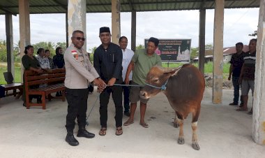 Kapolres-Kupang Sumbang-2-Ekor-Hewan-Kurban-di-Hari-Raya-Idul-Adha-1446-H