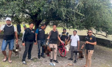 Polres-Kupang-Obrak-Abrik-Lokasi-Judi-Sabung-Ayam-di-Belakang-Pasar-Oesao