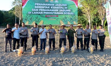 Dukung-Swasembada-Pangan-Polres-Kupang-Gelar-Penanaman-Jagung-Serentak-Kuartal-III-dan-Pemanfaatan-Lahan-Perhutanan-Sosial