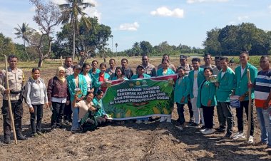 Libatkan-Mahasiswa,-Giat-Penanaman-Jagung-Serentak-Kuartal-III-di-Wilayah-Polres-Kupang-Berjalan-Aman-dan-Lancar