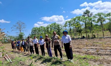 Polsek-Fatuleu-dan-PPL-Laksanakan-Penanaman-Ulang-Jagung-di-Desa-Naunu-Dukung-Swasembada-Pangan-2025