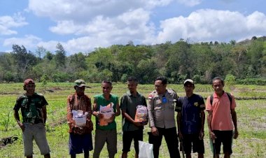 Bhabinkamtibmas-Fatuleu-Dampingi-Kelompok-Tani-di-Naunu,-Cek-Jagung-Kuartal-III-dan-Serahkan-Bantuan-Bibit