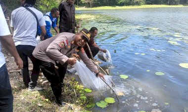 Polsek-Amarasi-Amankan-Penebaran-1.000-Benih-Ikan-Air-Tawar-di-Danau-Nefokou-Desa-Apren