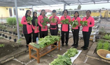 Panen-Perdana-Pekarangan-Pangan-Lestari-Bhayangkari-Polres-Kupang,-Wujud-Kemandirian-dan-Ketahanan-Pangan-Keluarga-Polisi