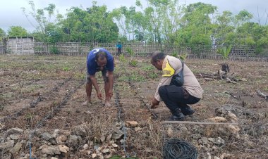 BHABINKAMTIBMAS-DESA-PANTULAN-AJAK-WARGA-TANAM-JAGUNG-DAN-INGATKAN-WASPADA-HOAKS-DI-MEDIA-SOSIAL