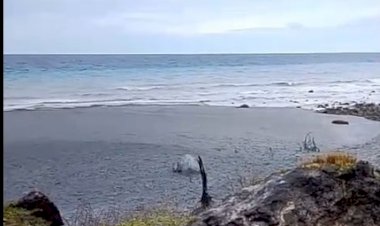 Muncul-Semburan-Lumpur,-Bukit-Liman-Semau-Selatan-Hebohkan-Warga