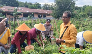 Polsek-Kupang-Timur-Amankan-Kegiatan-Panen-Perdana-Gubernur-NTT-di-SMA-Negeri-1-Kupang-Timur