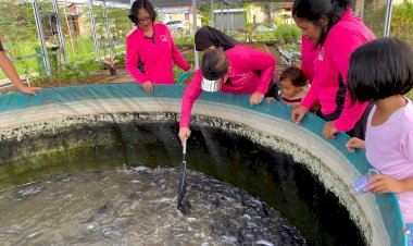 Penuh-Sukacita,-Bhayangkari-Polres-Kupang-Panen-Lele-Bioflok-di-Taman-Eko-Wisata-Tantya-Sudirajati