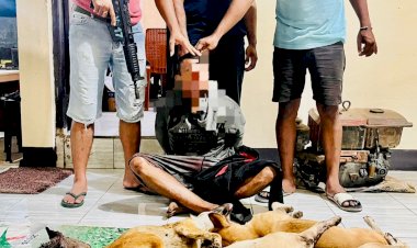 Bawa-Lima-Ekor-Anjing-Curian,-Pelaku-Pencurian-Hewan-Dibekuk-Resmob-Polres-Kupang-di-Sulamu