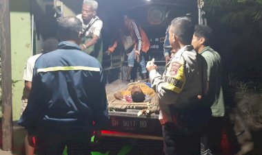 Polisi-Evakuasi-Petani-yang-Kritis-Akibat-Jatuh-dari-Pohon-Pinang-di-Amfoang-Barat-Laut-​