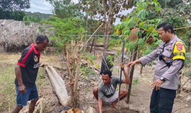 Bhabinkamtibmas-Polsek-Amfoang-Utara-Sigap-Tangani-Anjing-Diduga-Rabies,-Warga-Desa-Fatunaus-Merasa-Aman