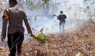 Personel-Polsek-Kupang-Timur-Berjibaku-Padamkan-Api-yang-Menjalar-di-Hutan-Kayu-Putih