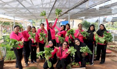 Panen-Sawi-hingga-cabai,-Pekarangan-Pangan-Lestari-Bhayangkari-Polres-Kupang-Berbuah-Manis