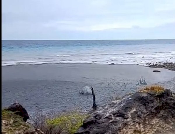 Muncul Semburan Lumpur, Bukit Liman Semau Selatan Hebohkan Warga