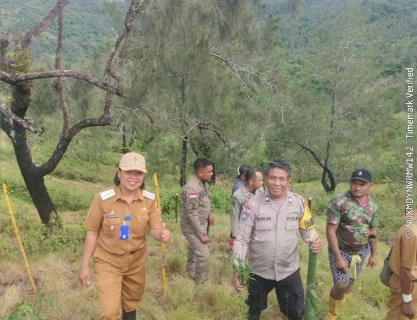 Bhabinkamtibmas Polsek Kupang Barat Bersama Pemda dan Warga Nekamese Tanam Bambu Cegah Longsor