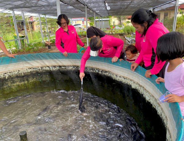 Penuh Sukacita, Bhayangkari Polres Kupang Panen Lele Bioflok di Taman Eko Wisata Tantya Sudirajati