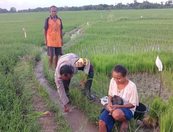 Bhabinkamtibmas Polsek Amfoang Utara Pantau Aktivitas Petani Sekaligus Jalin Kedekatan dengan Warga