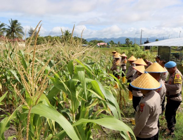 Kapolres Kupang Pimpin Panen Raya Jagung Pulut di Lahan Eko Wisata Tantya Sudhirajati