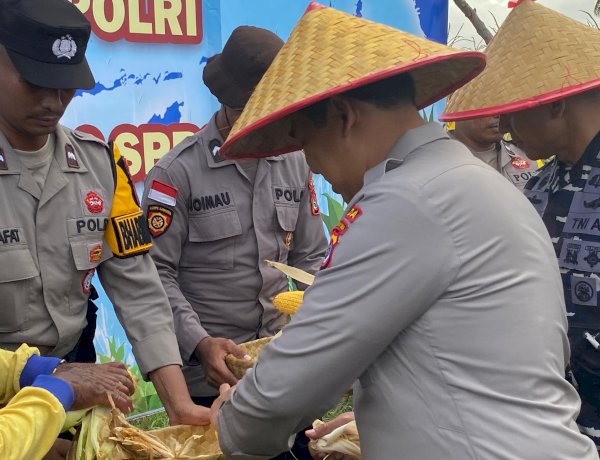 Dukung Swasembada Pangan Nasional, Kapolres Kupang Dampingi Kapolda NTT Gelar Panen Raya Jagung Serentak di Tuatuka
