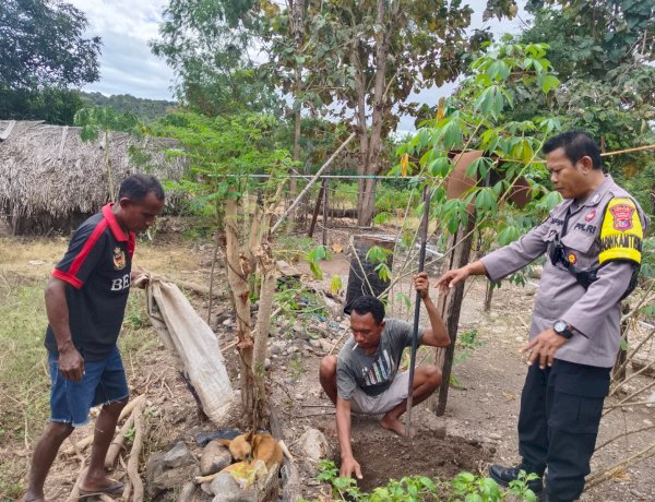 Bhabinkamtibmas Polsek Amfoang Utara Sigap Tangani Anjing Diduga Rabies, Warga Desa Fatunaus Merasa Aman