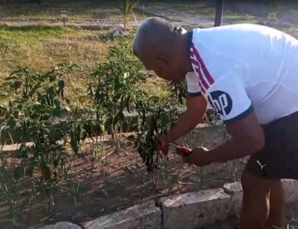 Kapolres Kupang Panen Lombok di Eko Wisata, Ajak Anggota Kelola Lahan dengan Syukur dan Sukacita
