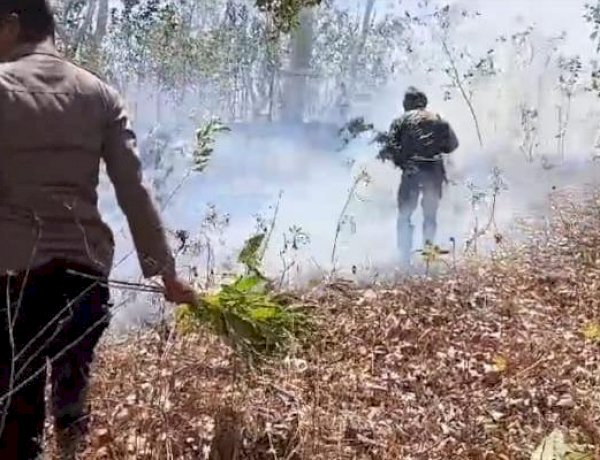 Personel Polsek Kupang Timur Berjibaku Padamkan Api yang Menjalar di Hutan Kayu Putih