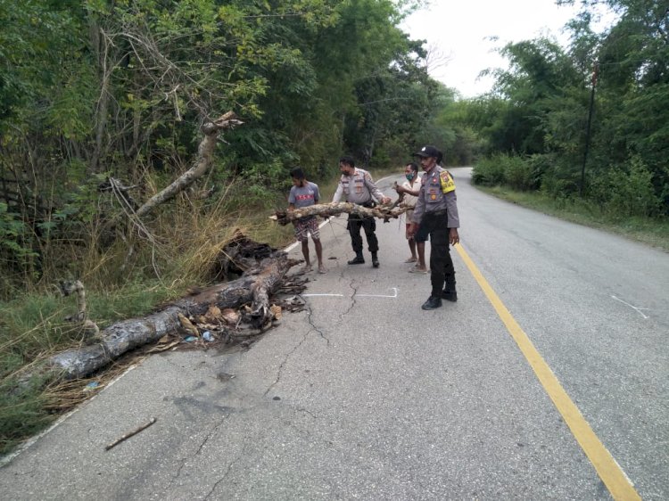 Sering terjadi kecelakaan, Kapolsek Takari inisiatif tambal titik kerusakan jalan