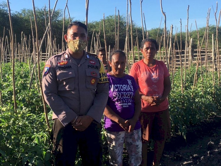 Bhabinkamtibmas,dukung progam ketahanan pangan,masuk sawah berikan motivasi kepada para petani