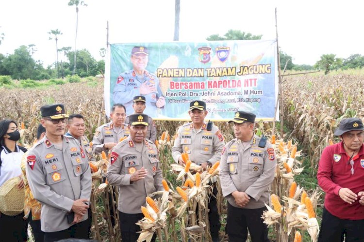 Kapolres Kupang Dampingi  Kapolda NTT Tanam Jagung Hibrida di Desa Kuanheum Kupang Barat
