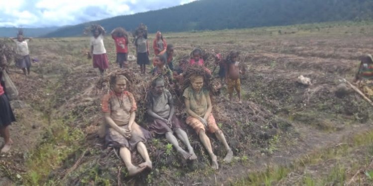 Enam  Warga Papua Tengah Meninggal Akibat Dampak El Nino