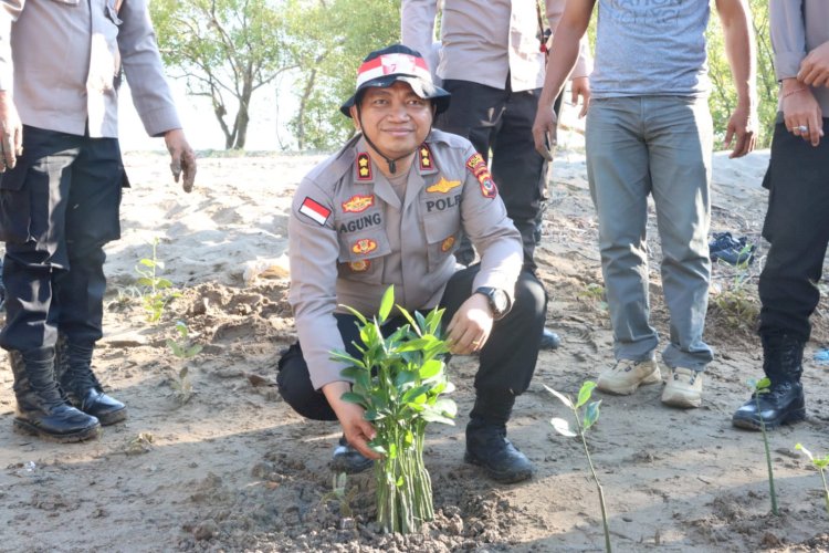1000 Pohon Mangrove dan 100 Bayi Penyu Persembahan Polres Kupang Untuk Indonesia