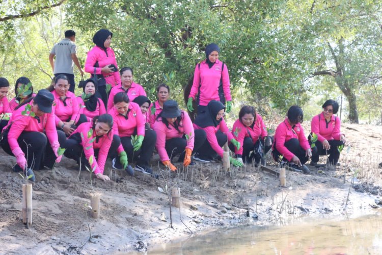 Peduli Lingkungan, PD Bhayangkari Daerah NTT Tanam Mangrove dan Lepas Tukik di Pantai Sulamanda